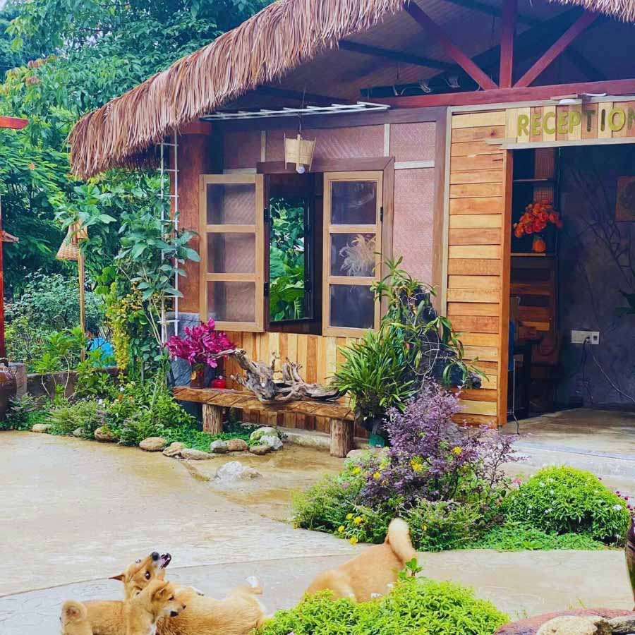 Mái lá tự nhiên mục nát sau 3 năm