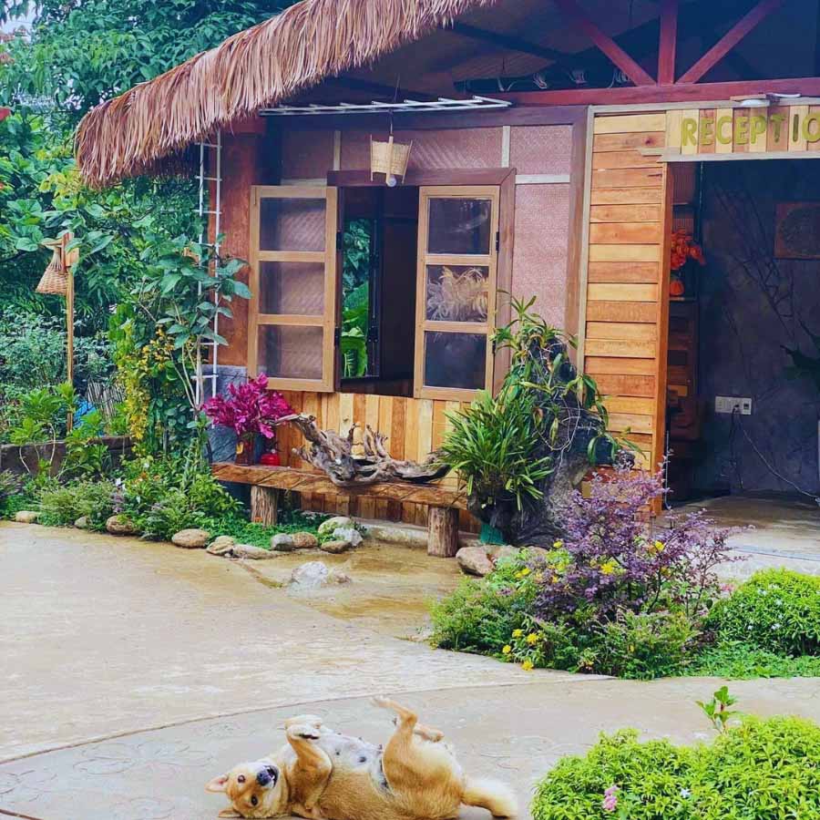 Mái tranh nhân tạo phù hợp với resort, homestay nhờ tính bền & đẹp