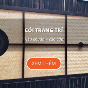 Cói Tranh Trí