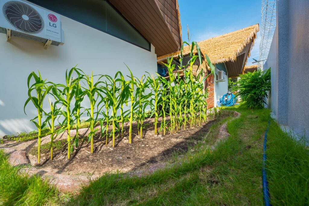 Cót ép nhân tạo (hay còn gọi là mành cót ép nhân tạo) là vật liệu được sản xuất từ nhựa tổng hợp cao cấp, mô phỏng hoa văn và cấu trúc đan lát truyền thống như tre, nứa. Bề mặt cót được thiết kế giống như các mắt đan thật, nhưng khắc phục hoàn toàn nhược điểm của vật liệu tự nhiên như mục, mối mọt, cong vênh.