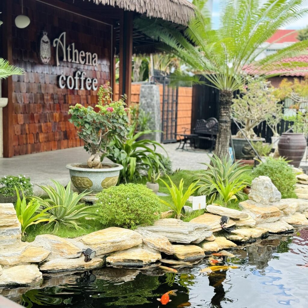 Athena Coffee gây ấn tượng với không gian xanh mát, mái rơm nhân tạo giúp tôn lên vẻ mộc mạc và hài hòa với cảnh quan hồ cá và cây xanh.