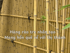 Hàng rào tre nhân tạo - Mang hồn quê về với thị thành