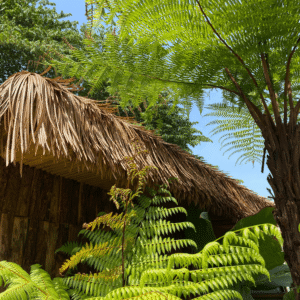 Rơm nhân tạo lợp mái trang trí quán cafe