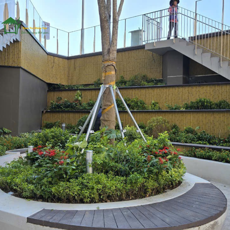 Khu vực tiểu cảnh với cây xanh và tường ốp tre nhân tạo tại Aeon Mall Huế.